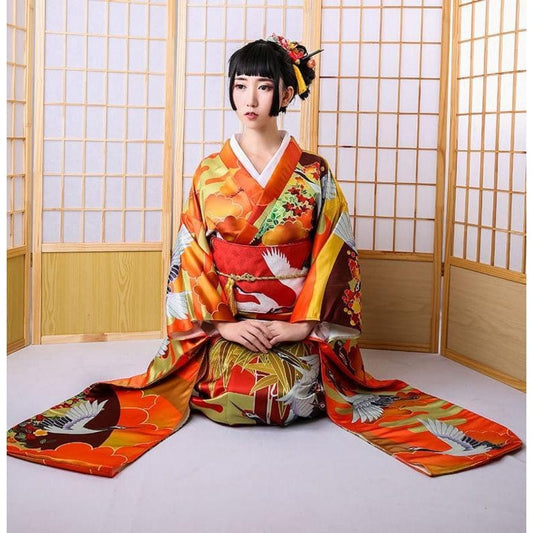 Kimono Femme Furisode Vol de Grues